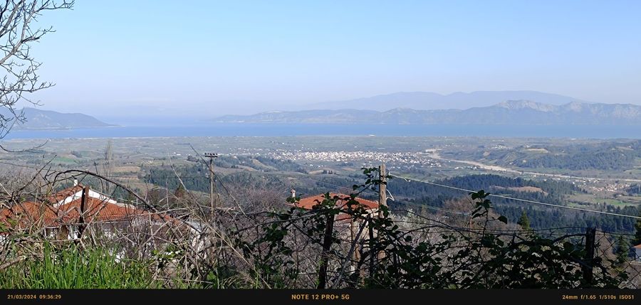 Photo 281930877