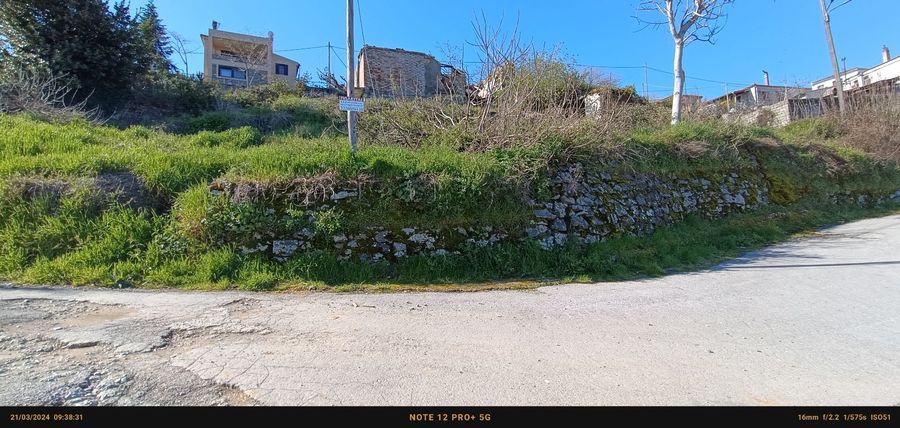 Photo 281930883