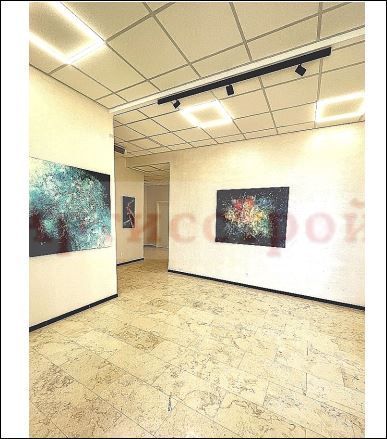 Снимка 282531615