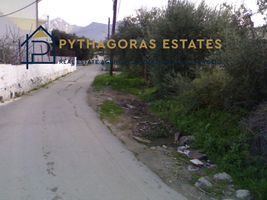Photo 284163348