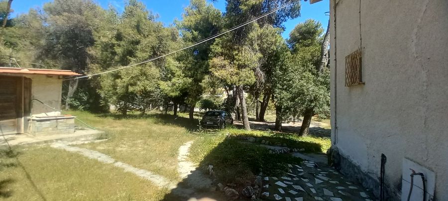 Photo 284626500