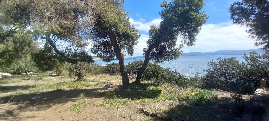 Photo 284627616