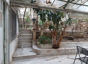 Plot Center