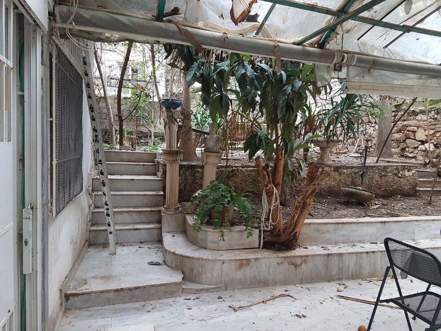 Plot Center