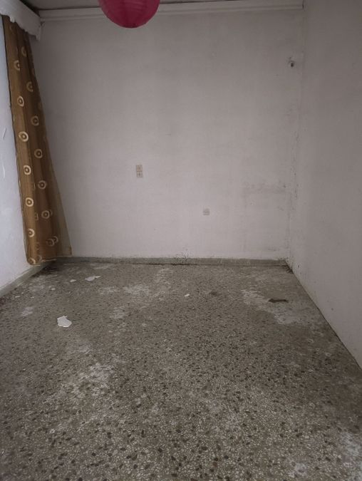 Fotografías 285156720