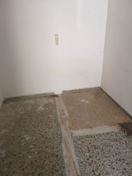 Photo 285156723