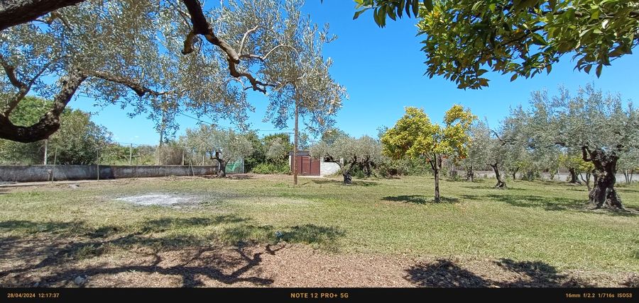 Photo 285232893