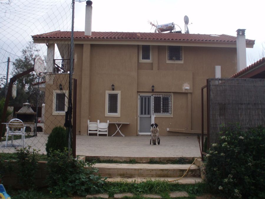 Photo 4
