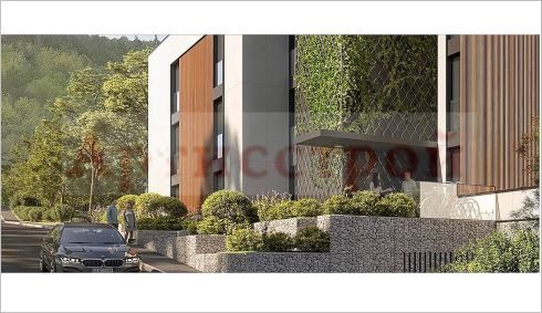 Снимка 286014681