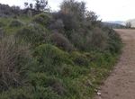 Photo 286153998
