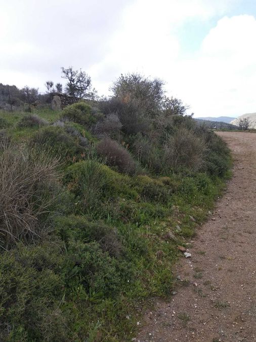 Photo 286153998