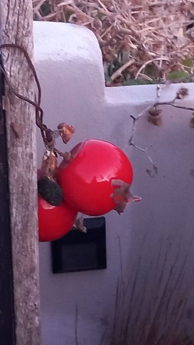Photo 286275906