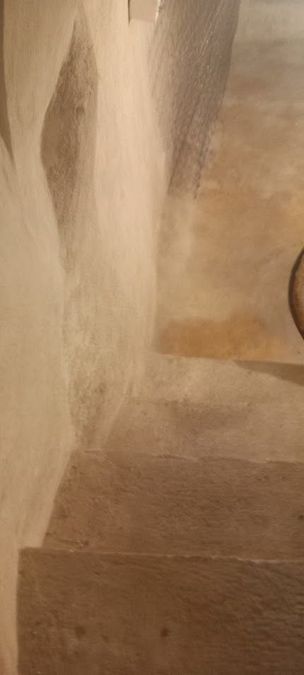 Photo 286275945