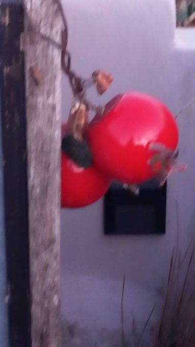 Foto 286372455