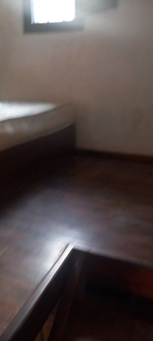 Foto 286372491