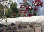 Foto 286372554
