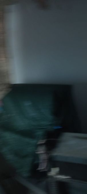 照片 286469499