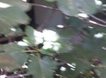 Foto 286573845