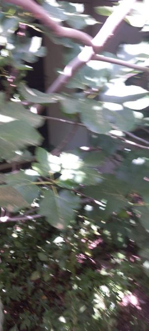 Foto 286573845