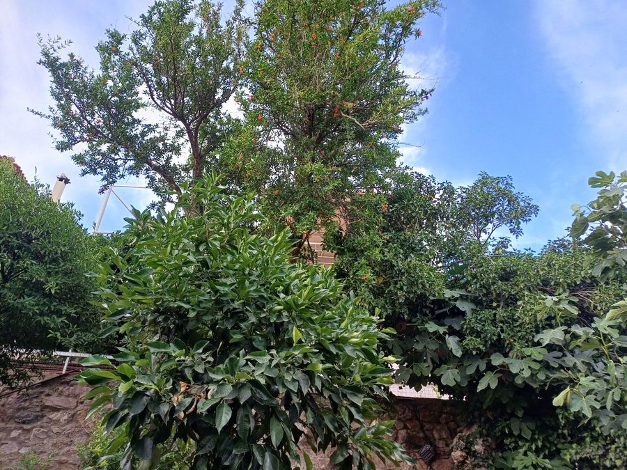 Photo 286694280