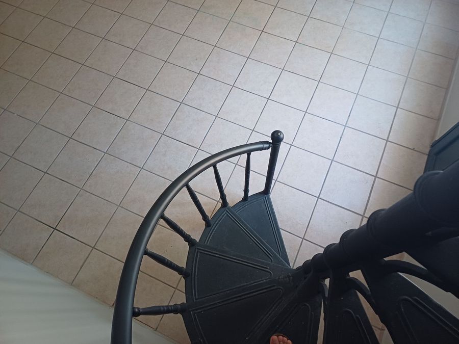 Photo 286835559