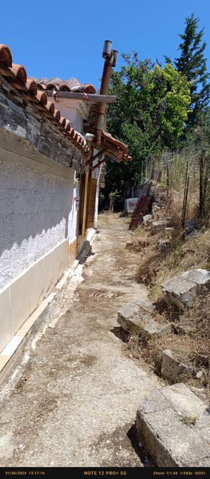Photo 287387196