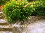 Photo 287536167