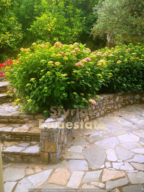Photo 287536167