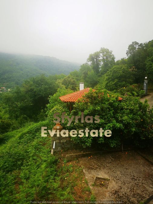 Photo 287536170
