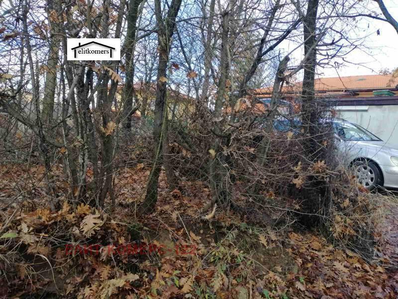 Снимка 287614515