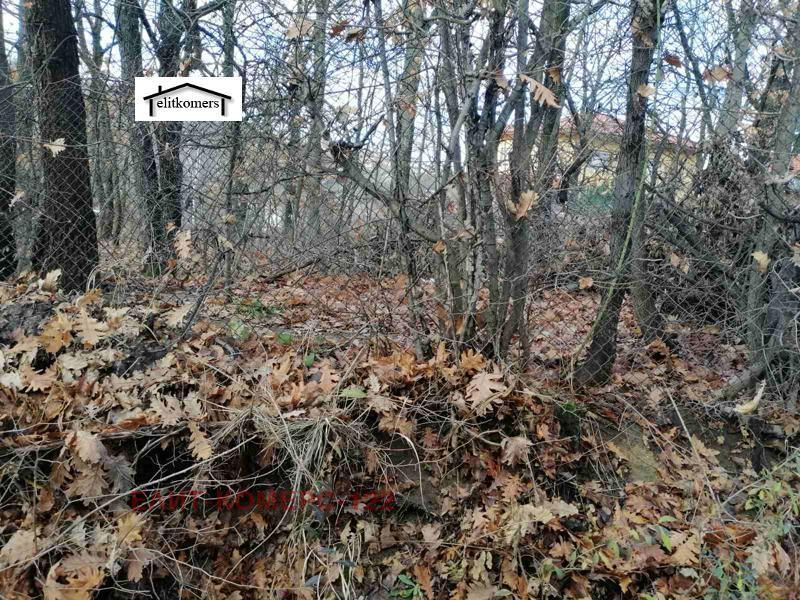 Снимка 287614536