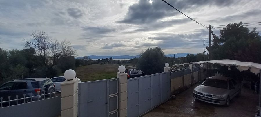 Photo 288901116