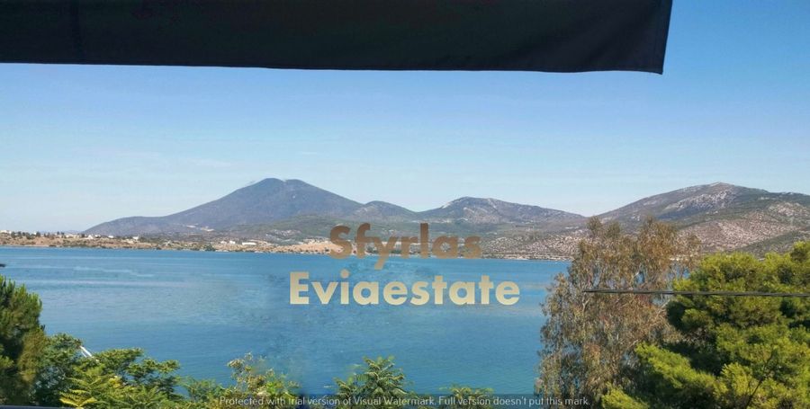 Photo 289056255