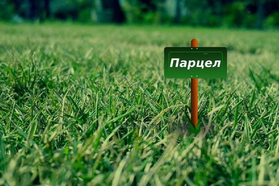 Снимка 289184322