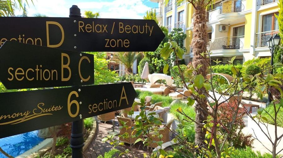 Снимка 289712973