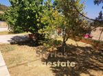 Photo 289951341