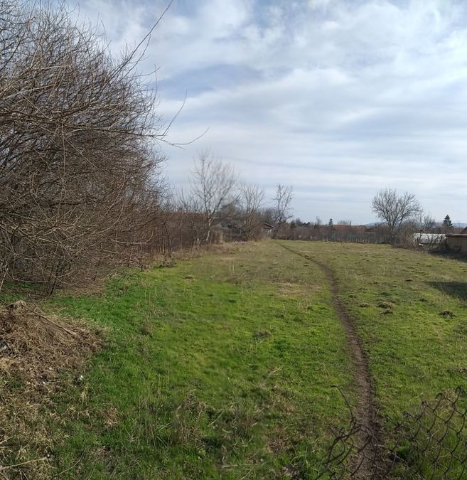 Снимка 290294628