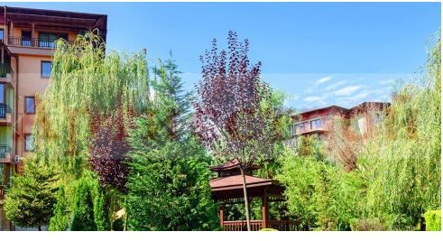 Снимка 290381100