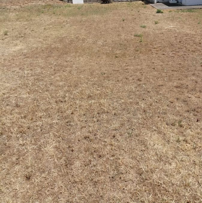 Photo 290579610