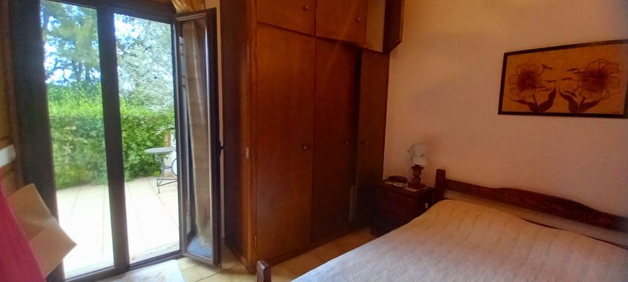 Photo 290616234