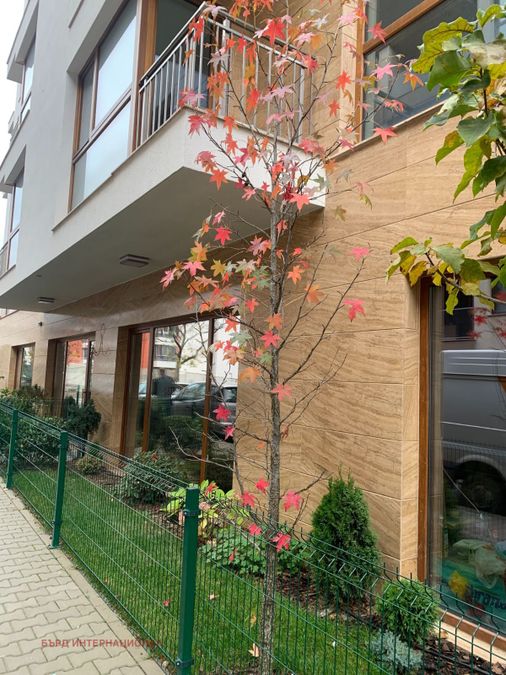 Снимка 292680717