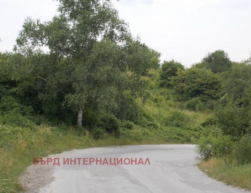 Снимка 292684041
