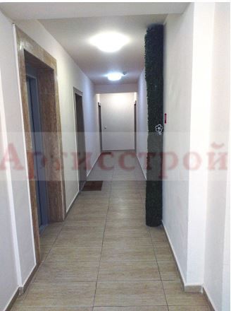 Photo 293206437