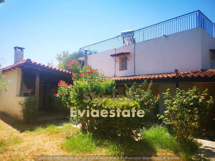 Photo 293610357