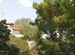 Foto 293689650