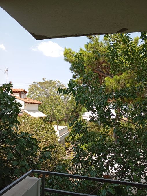 Foto 293689650