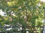 Foto 293689653