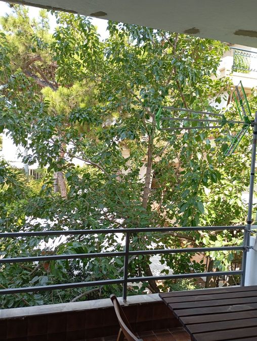 Foto 293689653