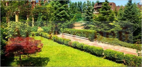 Снимка 293714664