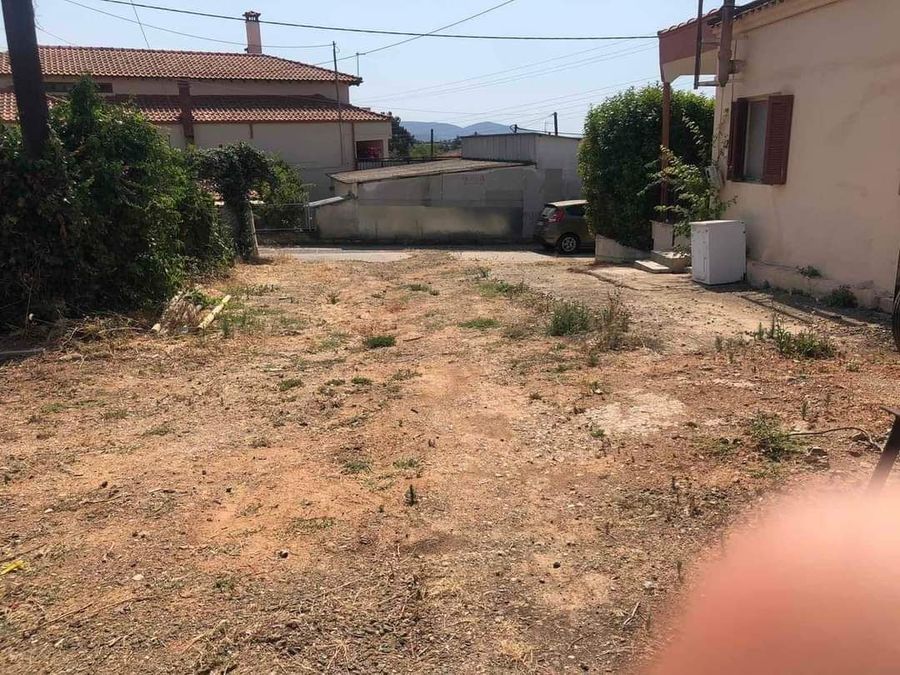 Снимка 294433650